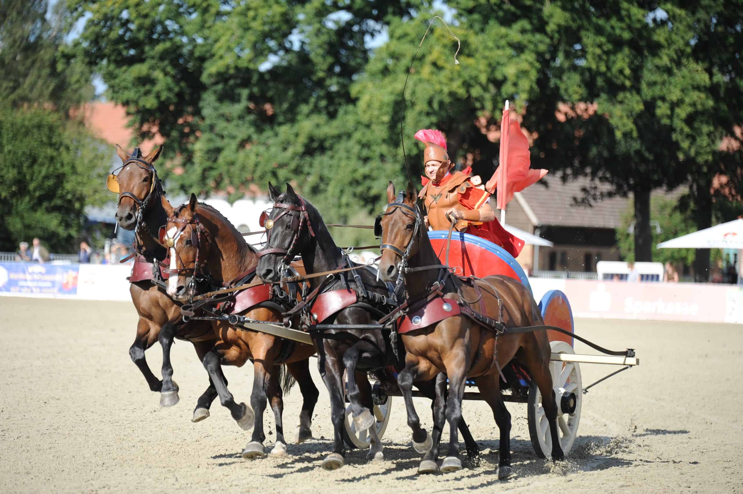 Pfiffig, sportlich - unterhaltsam - die Pferdetage Redefin beeindruckten mit zahlreichen Schaubildern und dem Blick hinter die Kulissen. (Foto: Strohbehn)