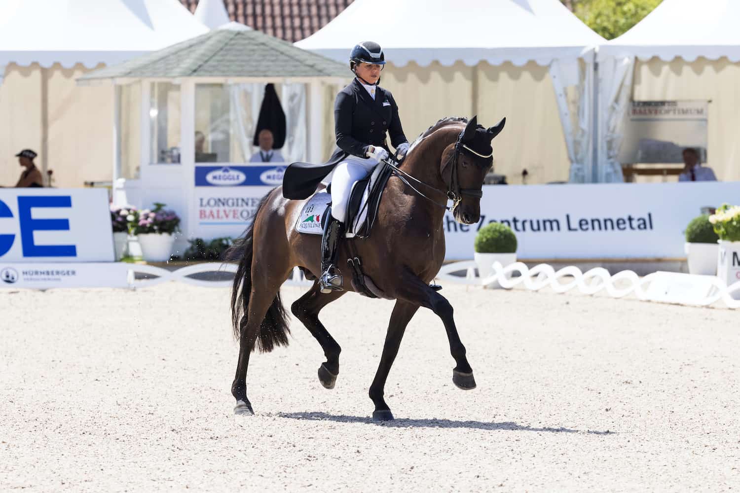 Rekordfinalistin Dorothee Schneider kommt mit Pferd 19 – Dante´s Hit OLD (s. Foto) - und 20 – Quaterline - zum Finale in die Festhalle. (Foto: Stefan Lafrenz)